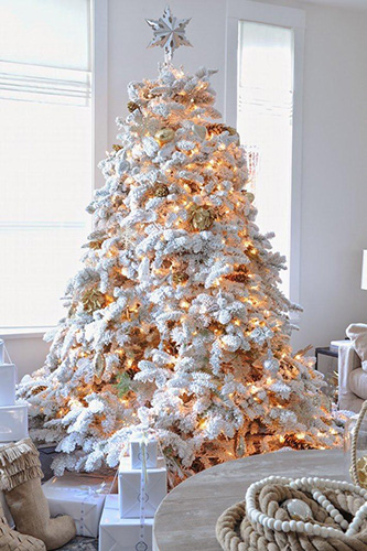 Traiteur Noël Ajaccio